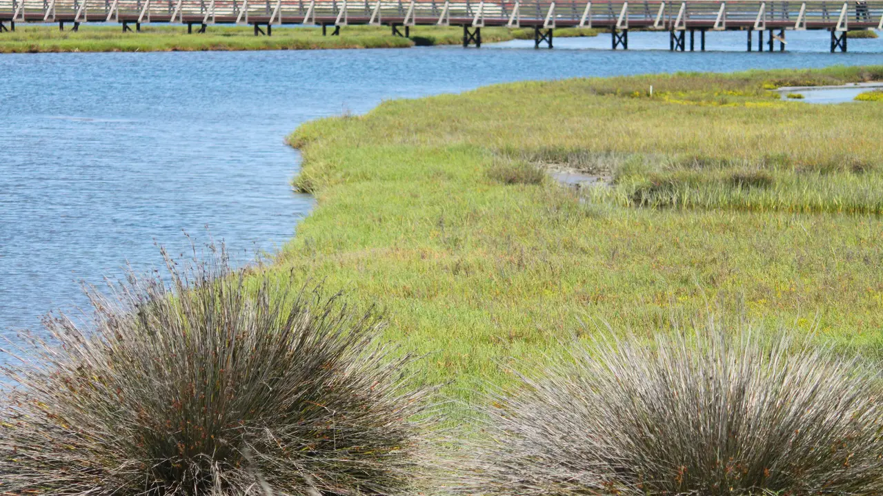 Bolsa Chica wetlands and walkway, Huntington Beach