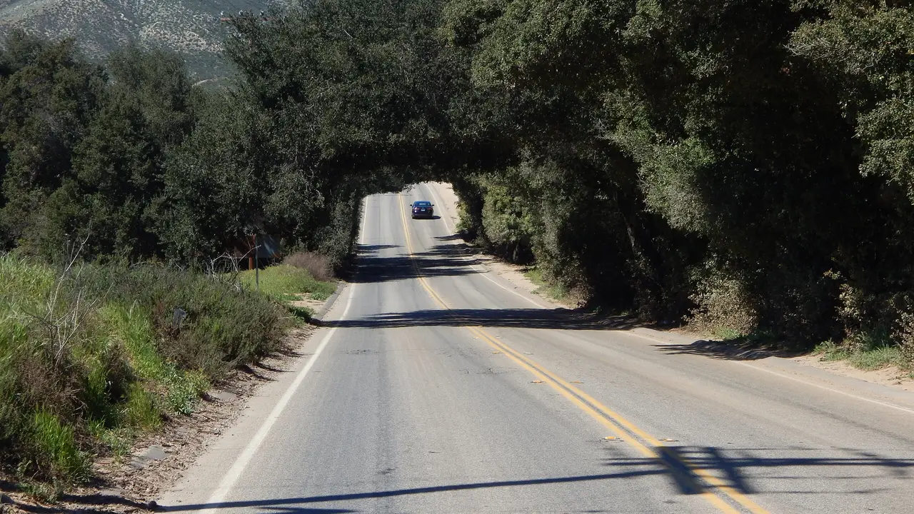 Oak tree tunnel on Bundy Canyon Road, Wildomar
