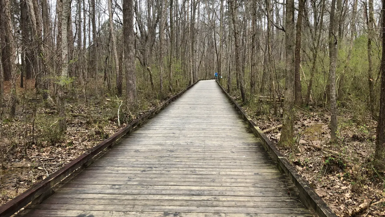 Boardwalk on Suwanee Creek Greenway, Suwanee