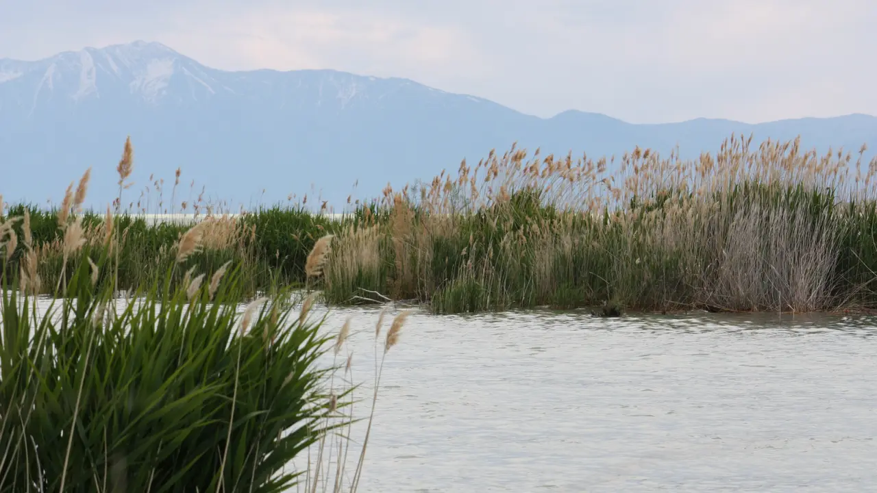 Utah Lake shore with reeds and Wasatch peaks, Saratoga Springs