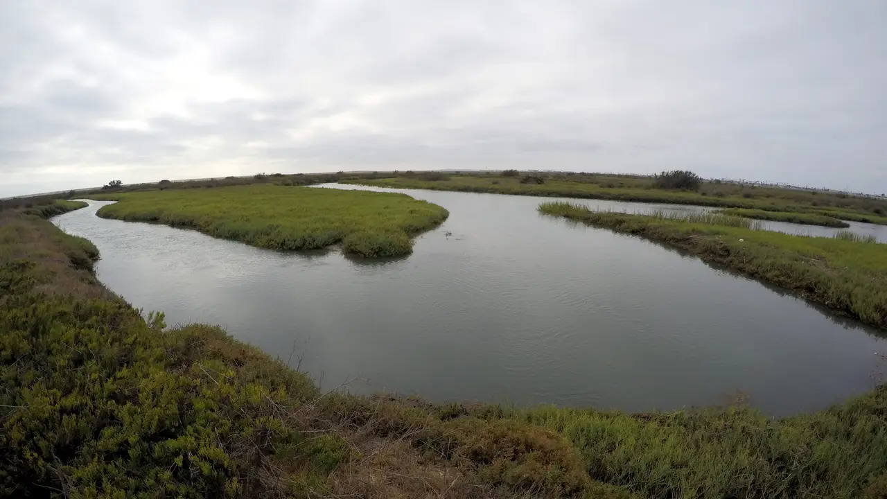 Tijuana River wetlands, Border Field State Park
