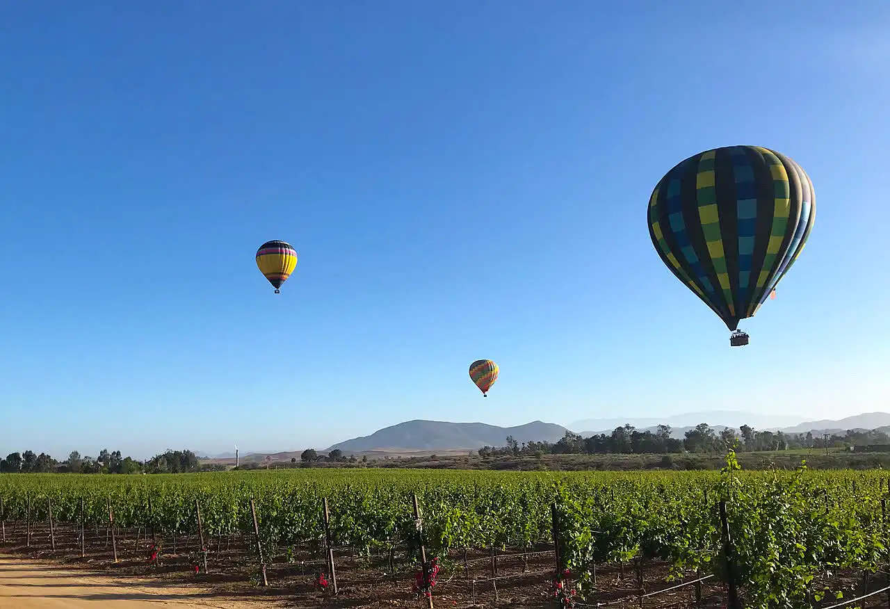 Balloons over the vineyards